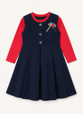 Little Ladybug Dress